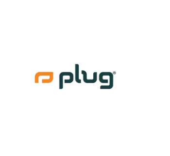 Plug